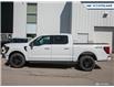 2025 Ford F-150 XLT (Stk: 25F1173) in Newmarket - Image 3 of 26