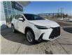 2025 Lexus NX 350 Base (Stk: L25708) in Calgary - Image 4 of 24