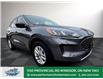 2022 Ford Escape SE (Stk: TL47818) in Windsor - Image 10 of 29