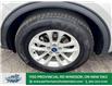 2022 Ford Escape SE (Stk: PR20592) in Windsor - Image 2 of 27