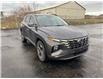 2022 Hyundai Tucson Hybrid Ultimate (Stk: S214A) in Chatham - Image 14 of 29