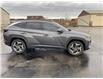 2022 Hyundai Tucson Hybrid Ultimate (Stk: S214A) in Chatham - Image 15 of 29