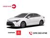 2025 Toyota Corolla Hybrid LE (Stk: CTORDER25001) in Chatham - Image 1 of 1