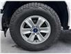 2017 Ford F-150 XLT (Stk: 14959) in Lethbridge - Image 17 of 18