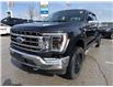 2021 Ford F-150 Lariat (Stk: P1984) in Newmarket - Image 3 of 28