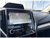 2023 Subaru Forester Limited (Stk: P1983) in Newmarket - Image 17 of 23