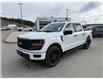 2025 Ford F-150 STX (Stk: 5T016) in Williams Lake - Image 1 of 13