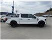 2025 Ford F-150 STX (Stk: 5T016) in Williams Lake - Image 6 of 13