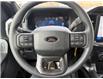 2025 Ford F-150 STX (Stk: 5T016) in Williams Lake - Image 13 of 13