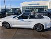 2021 Ford Mustang EcoBoost Premium (Stk: R-1925A) in Calgary - Image 2 of 26