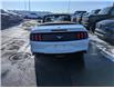 2021 Ford Mustang EcoBoost Premium (Stk: R-1925A) in Calgary - Image 3 of 26