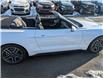 2021 Ford Mustang EcoBoost Premium (Stk: R-1925A) in Calgary - Image 5 of 26