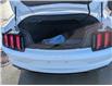 2021 Ford Mustang EcoBoost Premium (Stk: R-1925A) in Calgary - Image 14 of 26