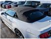 2021 Ford Mustang EcoBoost Premium (Stk: R-1925A) in Calgary - Image 25 of 26