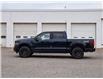 2025 Ford F-150 XLT (Stk: F51731) in GEORGETOWN - Image 5 of 28
