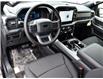 2025 Ford F-150 XLT (Stk: F51731) in GEORGETOWN - Image 15 of 28