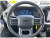 2025 Ford F-150 XLT (Stk: LFFF00274) in Tilbury - Image 11 of 15