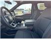 2025 Ford F-150 XLT (Stk: LFFF00274) in Tilbury - Image 7 of 15