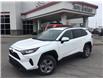 2024 Toyota RAV4 Hybrid LE (Stk: U9818A) in Ottawa - Image 1 of 13