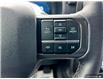 2024 Ford F-150 XLT (Stk: P7100) in Oakville - Image 16 of 25