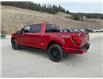 2025 Ford F-150 STX (Stk: 5T017) in Williams Lake - Image 3 of 13