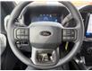 2025 Ford F-150 STX (Stk: 5T017) in Williams Lake - Image 13 of 13