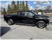 2025 Chevrolet Silverado 1500 LT (Stk: 25062) in Green Valley - Image 11 of 14