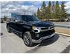2025 Chevrolet Silverado 1500 LT (Stk: 25062) in Green Valley - Image 12 of 14