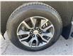 2025 Chevrolet Silverado 1500 LT (Stk: 25062) in Green Valley - Image 14 of 14