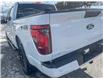 2025 Ford F-150 XLT (Stk: 0T5136) in Kamloops - Image 11 of 26