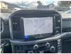 2025 Ford F-150 XLT (Stk: 0T5136) in Kamloops - Image 19 of 26