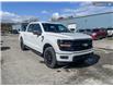 2025 Ford F-150 XLT (Stk: 0T5136) in Kamloops - Image 26 of 26