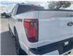 2025 Ford F-150 XLT (Stk: 0T5135) in Kamloops - Image 11 of 26