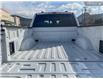 2025 Ford F-150 XLT (Stk: 0T5135) in Kamloops - Image 12 of 26