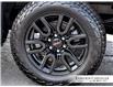 2023 GMC Sierra 1500 Elevation (Stk: U20926) in Burlington - Image 10 of 33