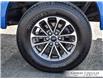 2020 Ford F-150 XLT (Stk: U6116) in Grimsby - Image 9 of 30