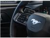 2025 Ford Mustang EcoBoost (Stk: S-487) in Calgary - Image 20 of 25