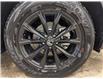2025 Honda CR-V Sport (Stk: 2550281) in Calgary - Image 10 of 24