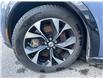 2021 Ford Mustang Mach-E Premium (Stk: 250304) in North Bay - Image 25 of 31