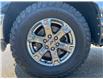 2021 Ford F-150 XLT (Stk: 25270) in Calgary - Image 9 of 21