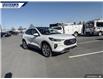 2025 Ford Escape Platinum (Stk: 26971) in Dartmouth - Image 6 of 24