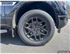 2025 Ford F-150 STX (Stk: 26899) in Dartmouth - Image 7 of 24