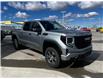 2025 GMC Sierra 1500 Pro (Stk: 267355) in Fort MacLeod - Image 3 of 21