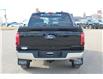 2025 Ford F-150 XL (Stk: 25T044) in Medicine Hat - Image 4 of 26