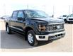 2025 Ford F-150 XL (Stk: 25T044) in Medicine Hat - Image 7 of 26