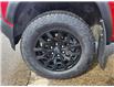 2023 Chevrolet Colorado Trail Boss (Stk: B5515) in Stony Plain - Image 4 of 46