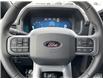 2025 Ford F-150 XLT (Stk: VF1F00699) in Chatham - Image 14 of 20