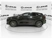 2025 Lexus NX 350h  (Stk: 14109481) in Markham - Image 6 of 15