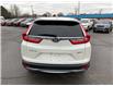 2018 Honda CR-V EX-L (Stk: 250166B) in Ottawa - Image 4 of 26