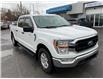 2021 Ford F-150 XLT (Stk: 250246) in North Bay - Image 1 of 25